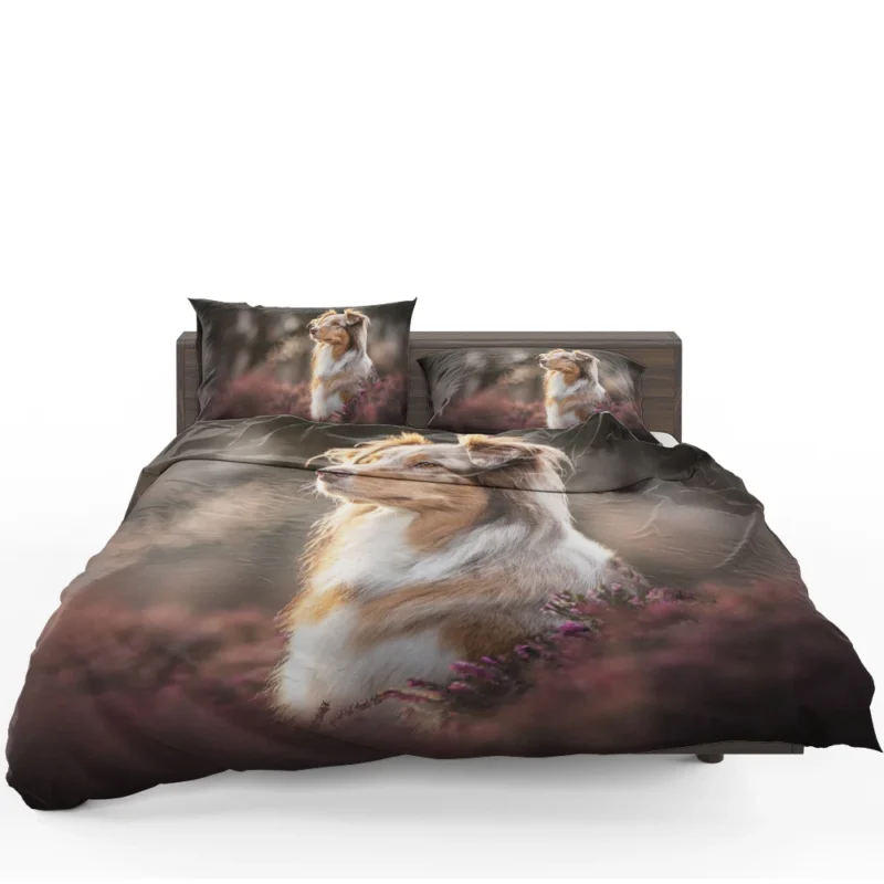 A Breed of Canine Versatility: Australian Shepherd Bedding Set