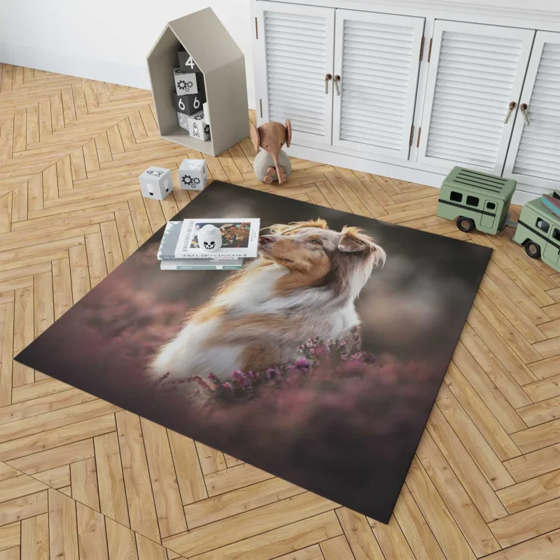 A Breed of Canine Versatility: Australian Shepherd Floor Rug 1