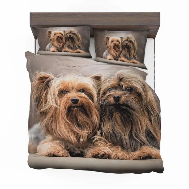 A Bundle of Cute Companions: Yorkshire Terriers Bedding Set 1