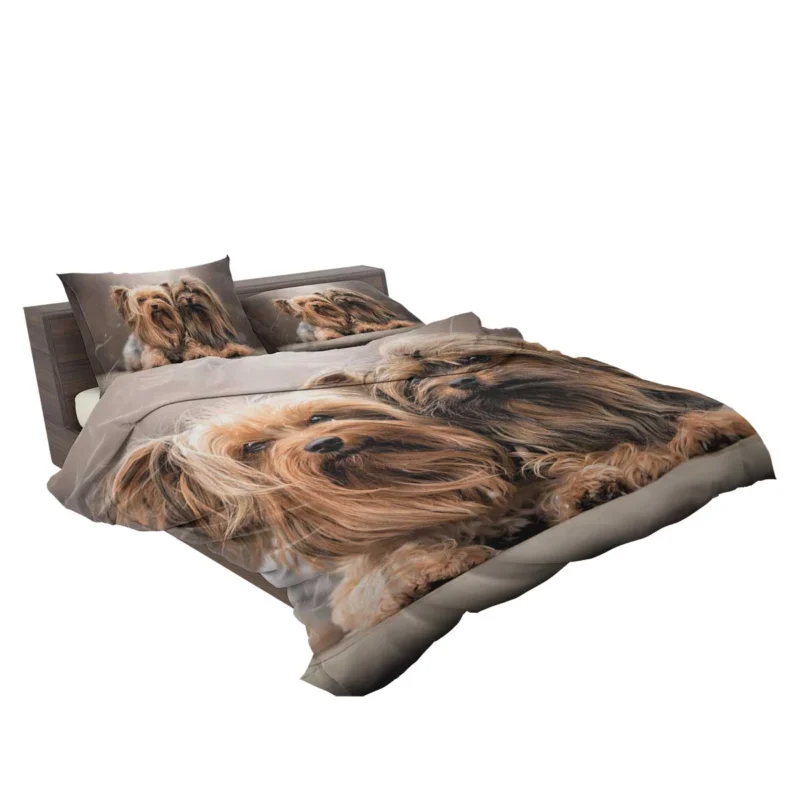 A Bundle of Cute Companions: Yorkshire Terriers Bedding Set 2