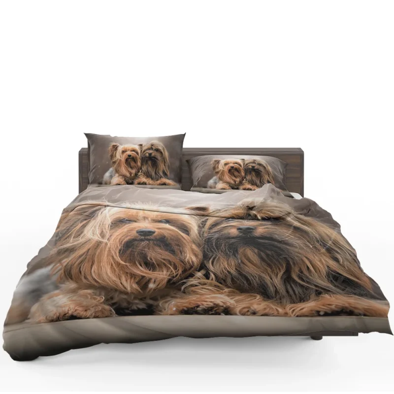 A Bundle of Cute Companions: Yorkshire Terriers Bedding Set