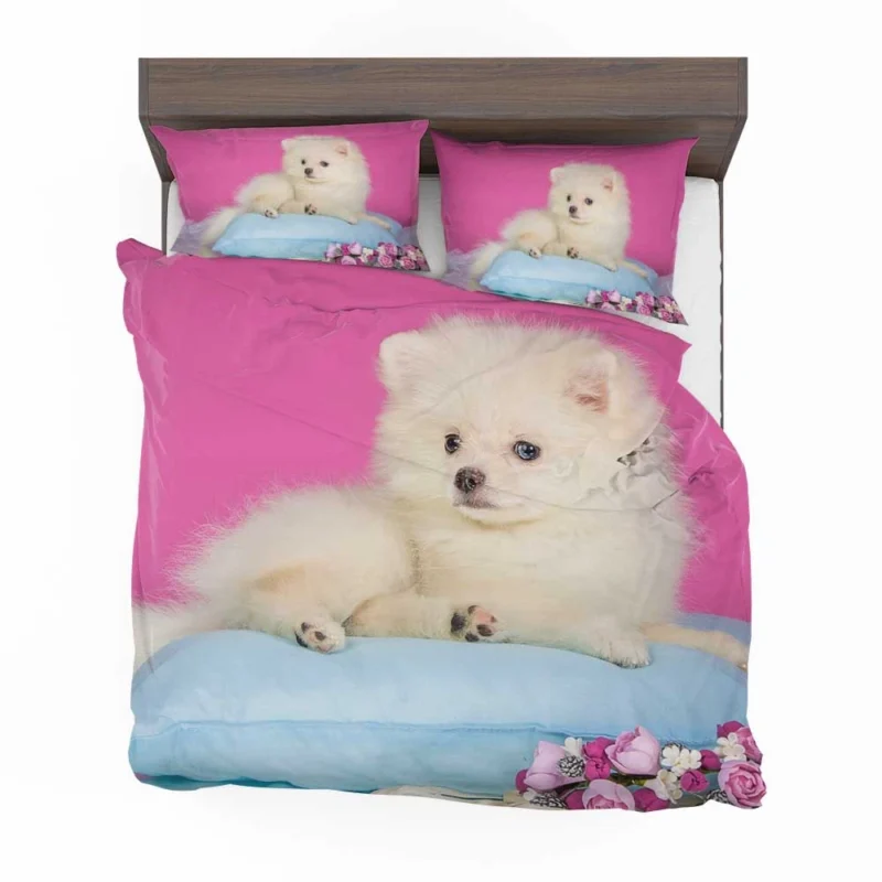 A Bundle of Cuteness: Fluffy Spitz Puppies Bedding Set 1