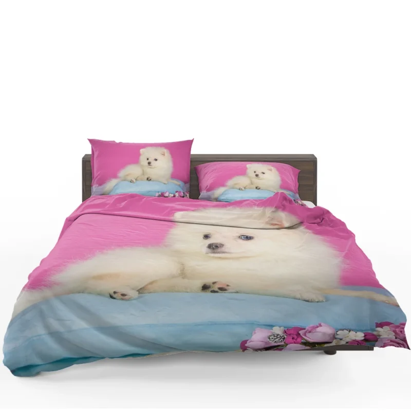 A Bundle of Cuteness: Fluffy Spitz Puppies Bedding Set