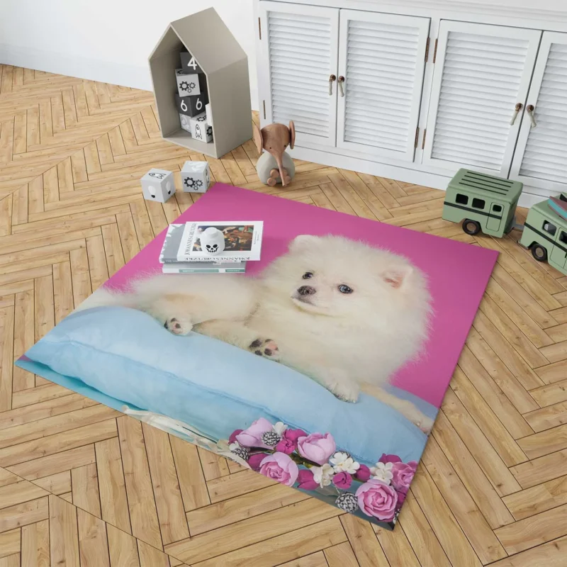 A Bundle of Cuteness: Fluffy Spitz Puppies Floor Rug 1