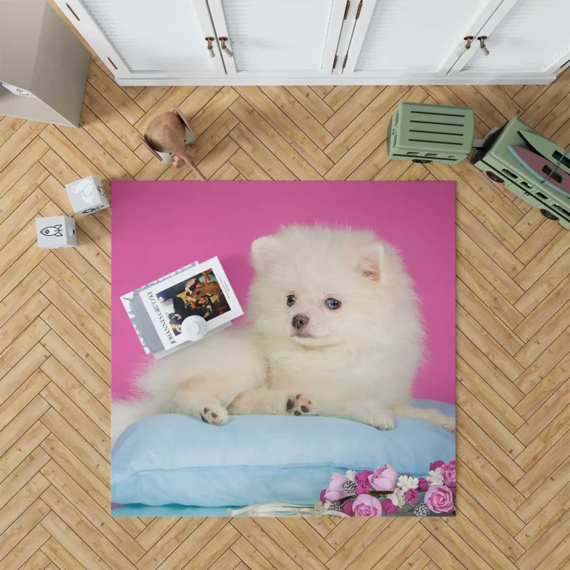 A Bundle of Cuteness: Fluffy Spitz Puppies Floor Rug