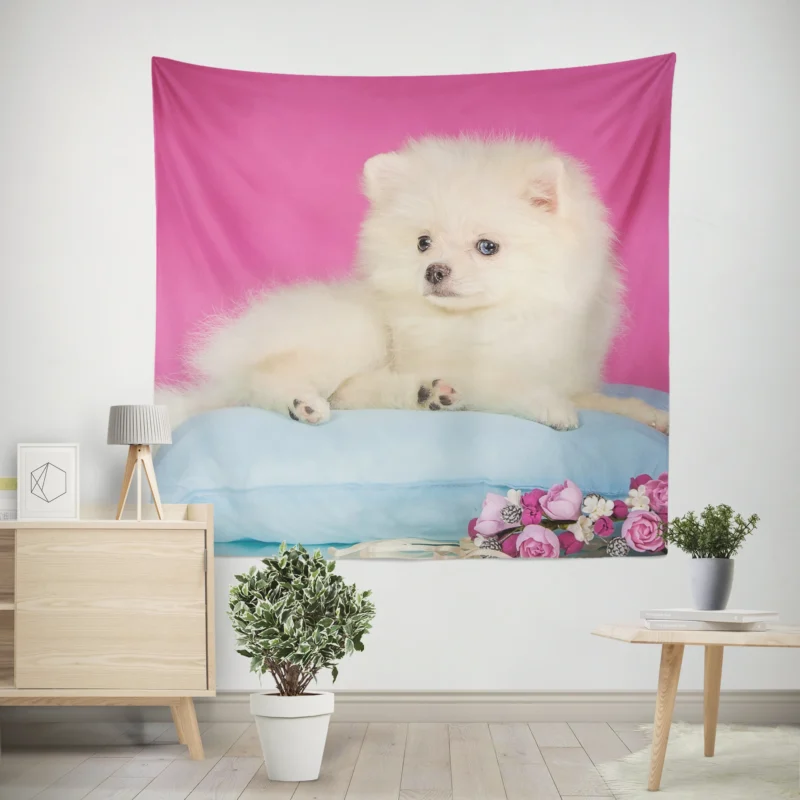 A Bundle of Cuteness  Fluffy Spitz Puppies Wall Tapestry