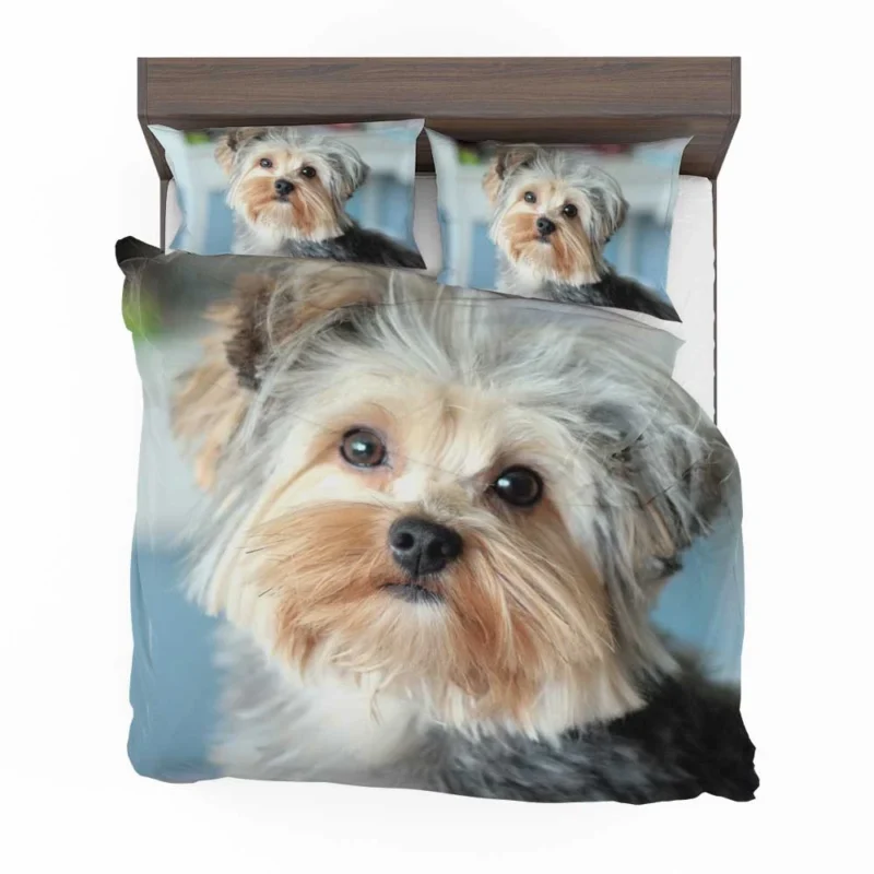 A Bundle of Joy: Yorkshire Terrier Quartet Bedding Set 1