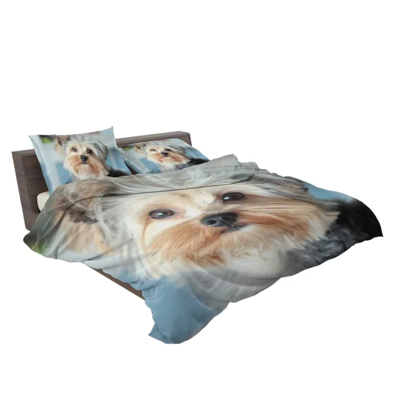 A Bundle of Joy: Yorkshire Terrier Quartet Bedding Set 2