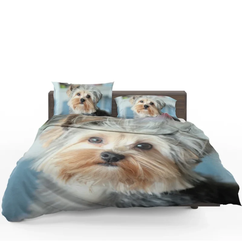 A Bundle of Joy: Yorkshire Terrier Quartet Bedding Set