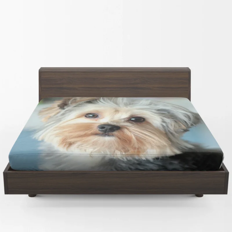 A Bundle of Joy: Yorkshire Terrier Quartet Fitted Sheet 1