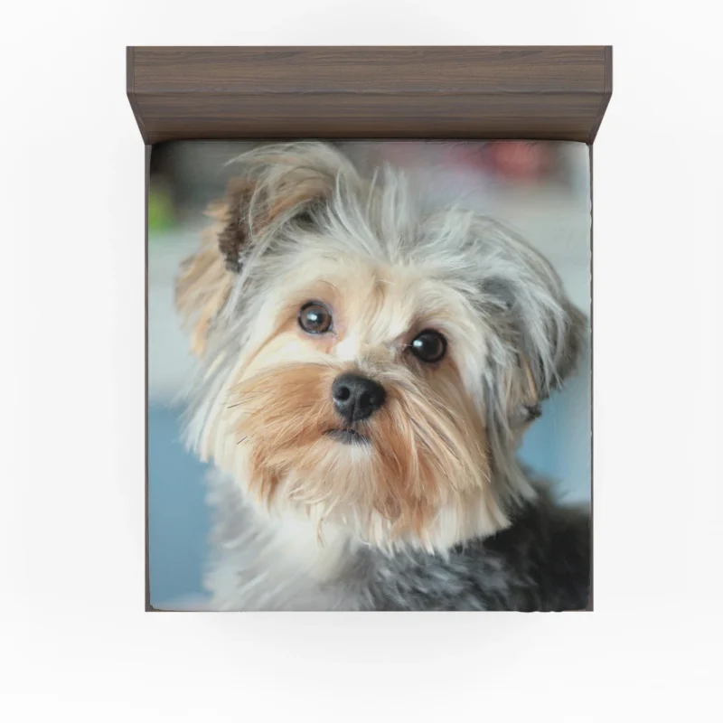 A Bundle of Joy: Yorkshire Terrier Quartet Fitted Sheet