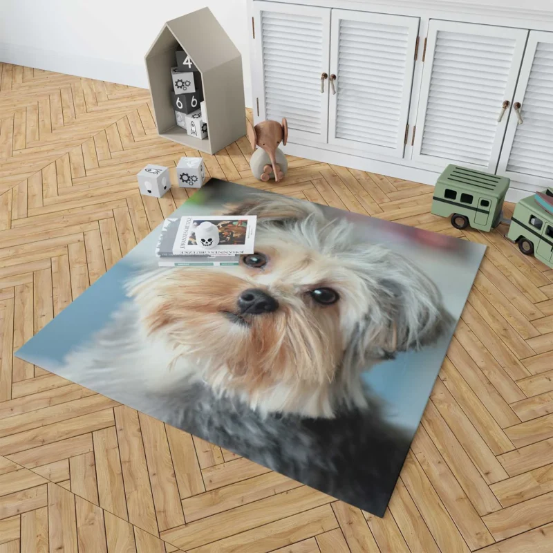 A Bundle of Joy: Yorkshire Terrier Quartet Floor Rug 1