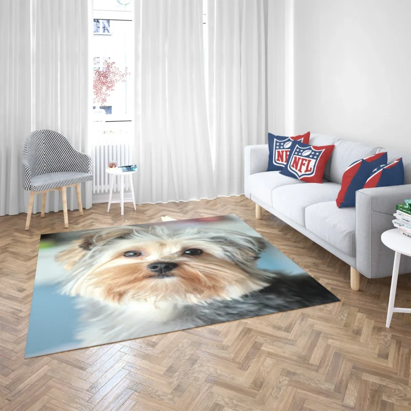 A Bundle of Joy: Yorkshire Terrier Quartet Floor Rug 2