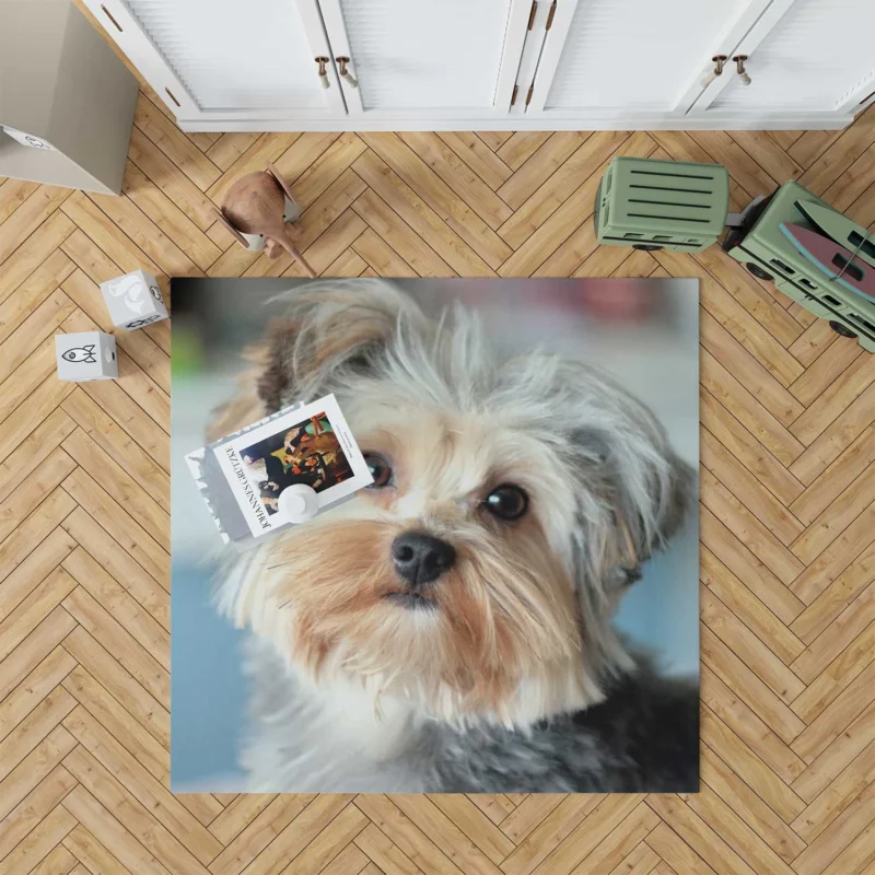 A Bundle of Joy: Yorkshire Terrier Quartet Floor Rug