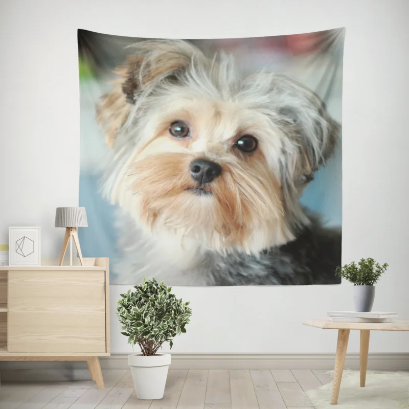 A Bundle of Joy  Yorkshire Terrier Quartet Wall Tapestry