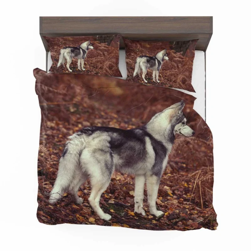 A Canine Adventure: Husky Quartet Bedding Set 1