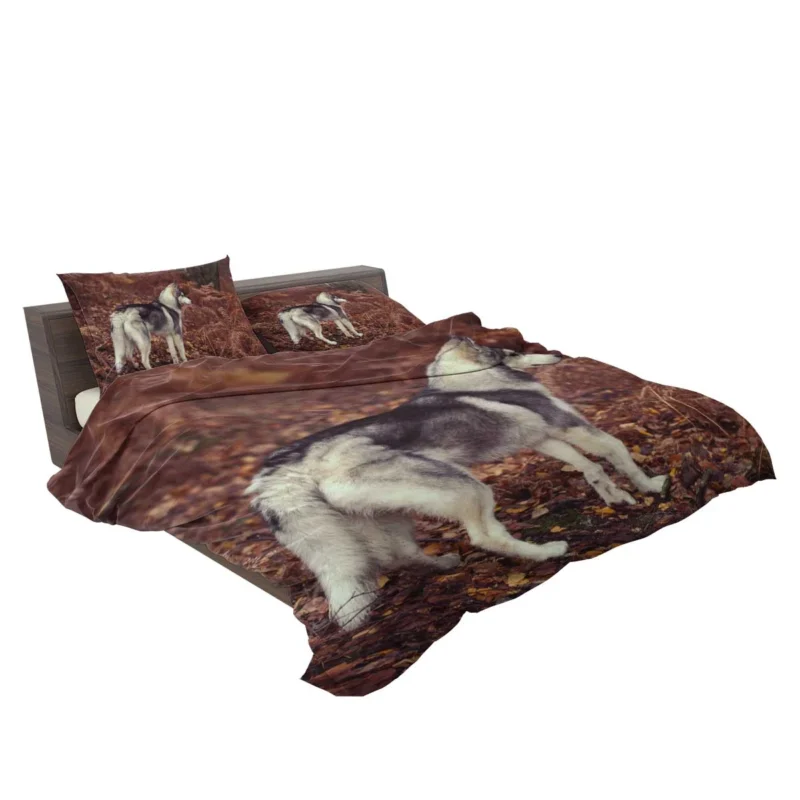 A Canine Adventure: Husky Quartet Bedding Set 2