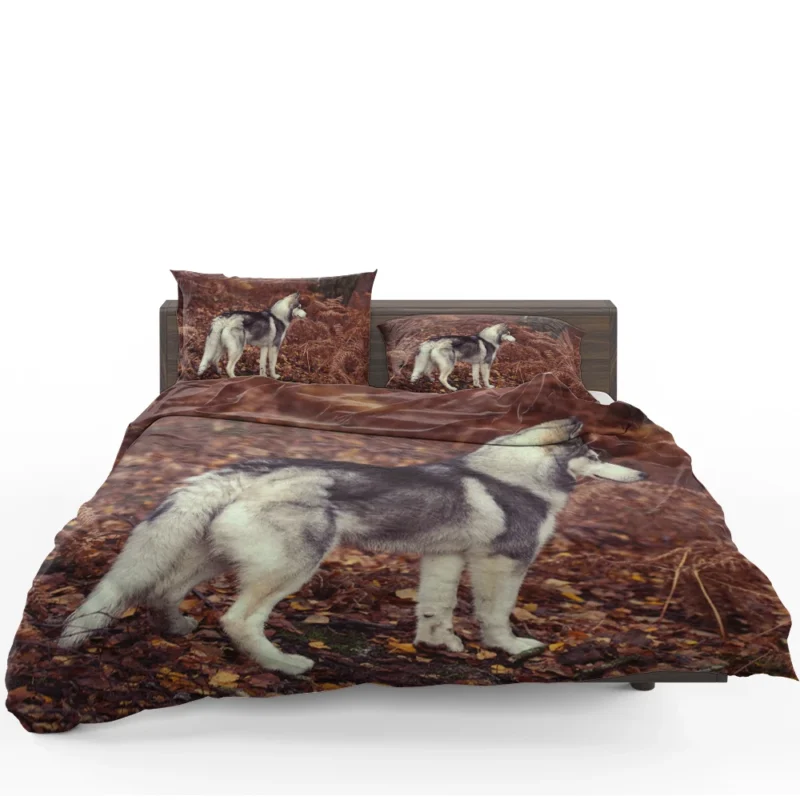 A Canine Adventure: Husky Quartet Bedding Set