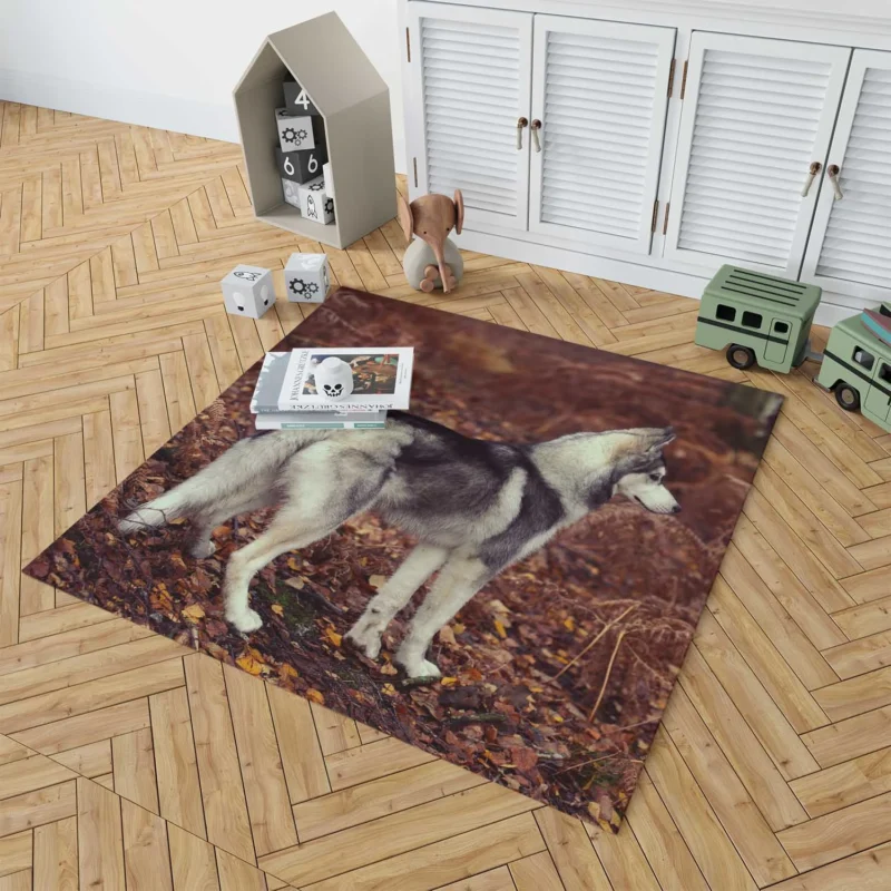 A Canine Adventure: Husky Quartet Floor Rug 1