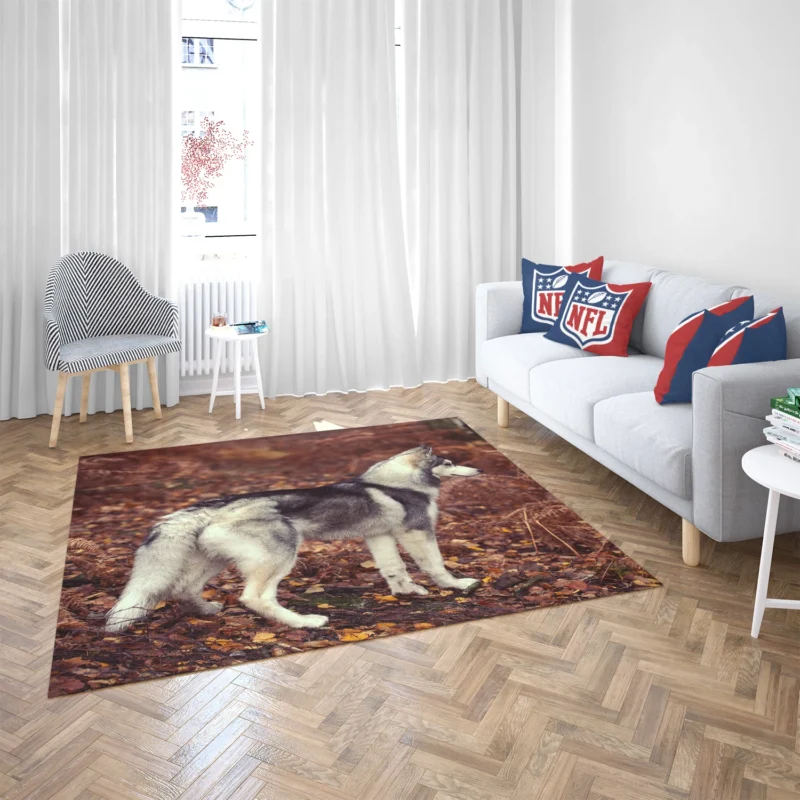 A Canine Adventure: Husky Quartet Floor Rug 2