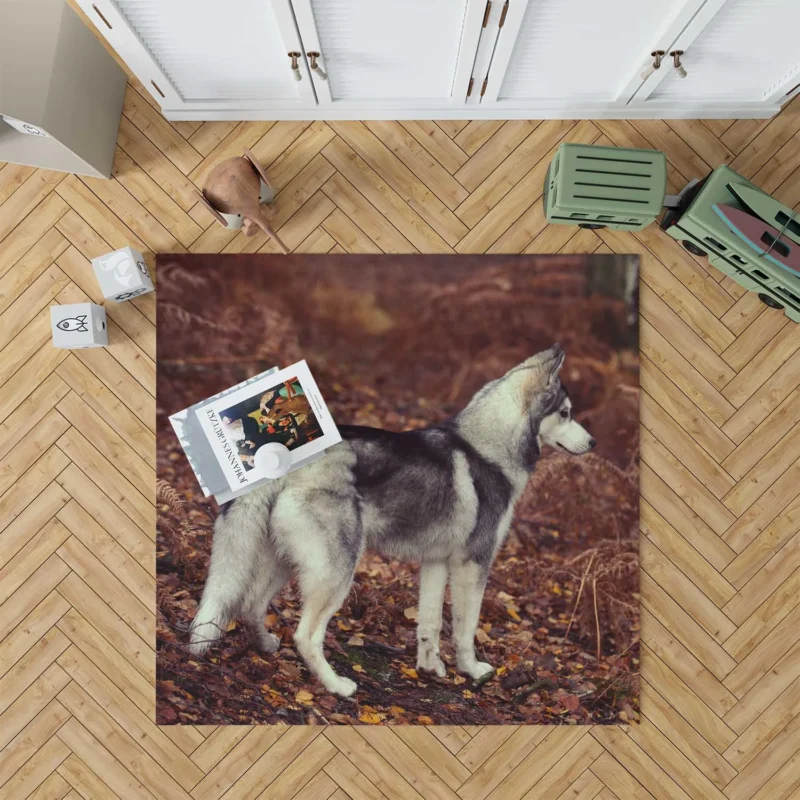 A Canine Adventure: Husky Quartet Floor Rug