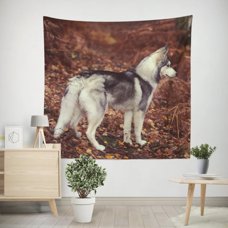 A Canine Adventure  Husky Quartet Wall Tapestry