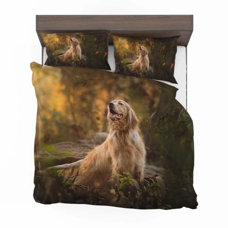 A Captivating Ensemble: Spaniel Quartet Bedding Set 1