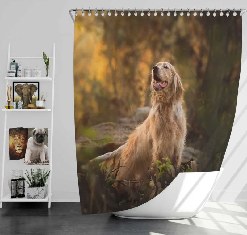 A Captivating Ensemble: Spaniel Quartet Shower Curtain