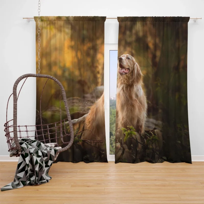 A Captivating Ensemble: Spaniel Quartet Window Curtain