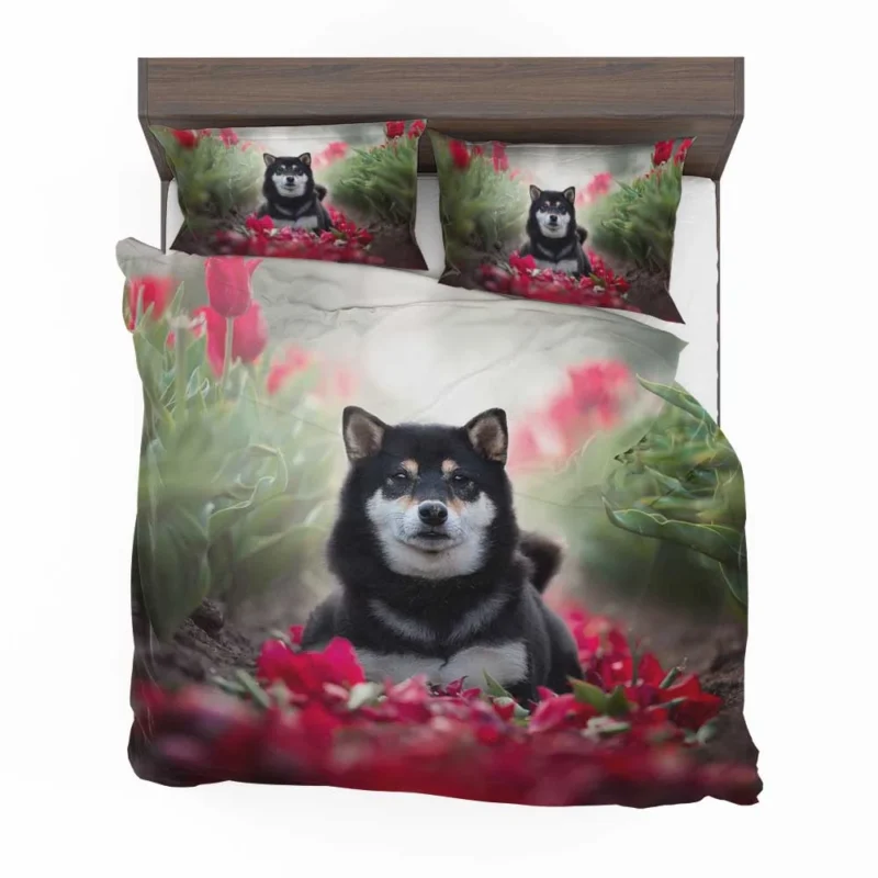 A Captivating Gaze: Shiba Inu Quartet Bedding Set 1