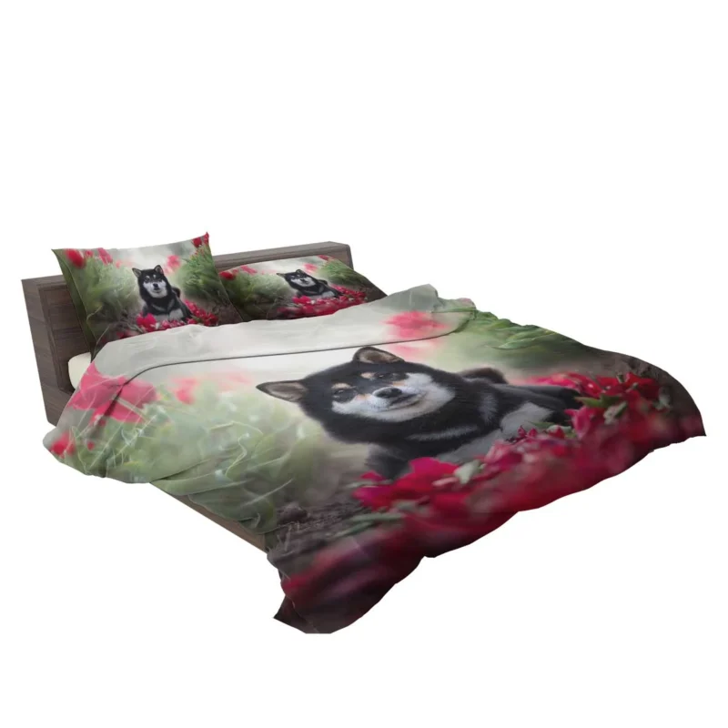 A Captivating Gaze: Shiba Inu Quartet Bedding Set 2