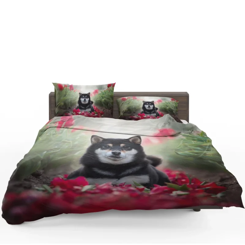 A Captivating Gaze: Shiba Inu Quartet Bedding Set