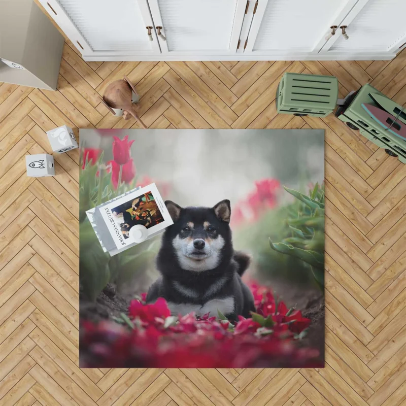 A Captivating Gaze: Shiba Inu Quartet Floor Rug