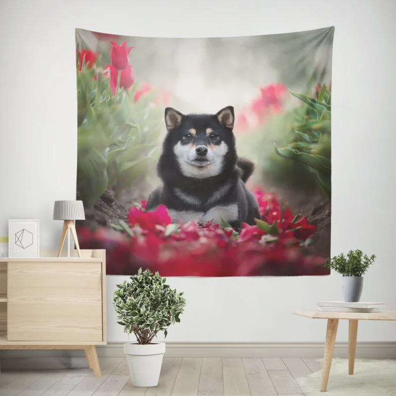 A Captivating Gaze  Shiba Inu Quartet Wall Tapestry