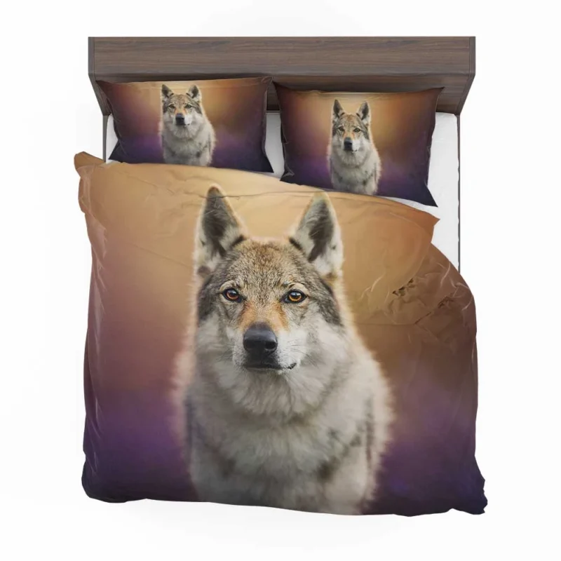 A Captivating Wolfish Stare: Wolfdog Quartet Bedding Set 1