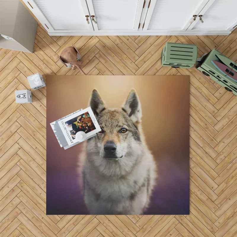 A Captivating Wolfish Stare: Wolfdog Quartet Floor Rug