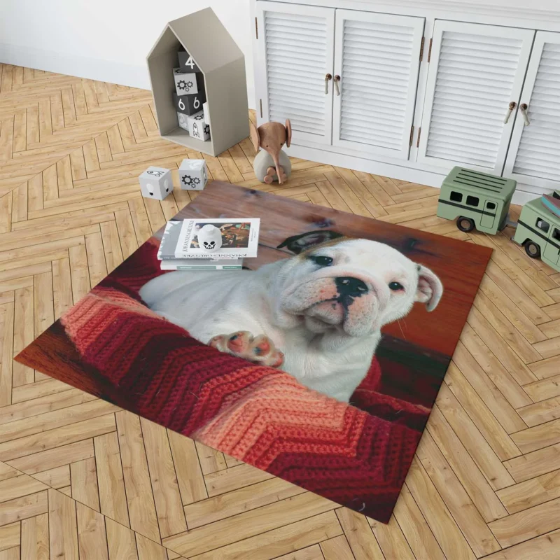 A Celebration of Bulldog Charm: Bulldog Wallpaper Floor Rug 1