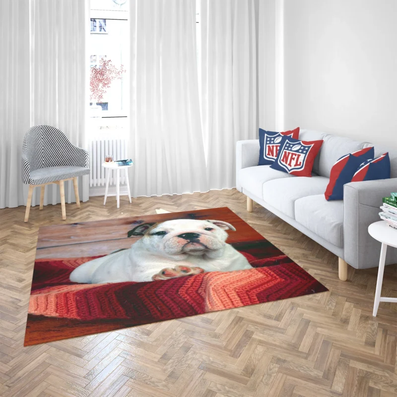 A Celebration of Bulldog Charm: Bulldog Wallpaper Floor Rug 2