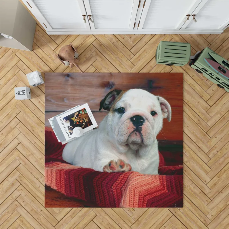 A Celebration of Bulldog Charm: Bulldog Wallpaper Floor Rug