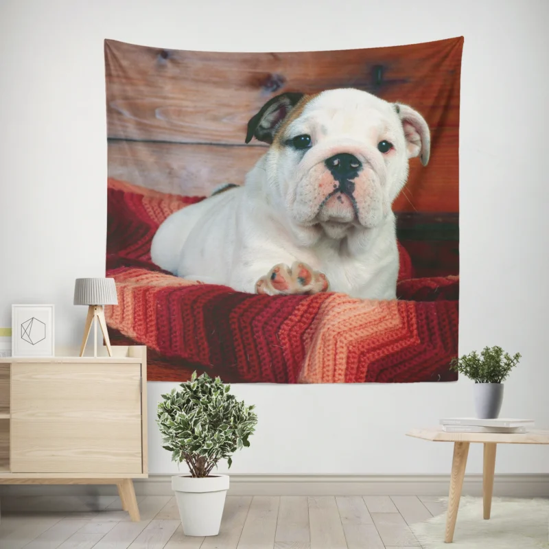 A Celebration of Bulldog Charm  Bulldog Wallpaper Wall Tapestry