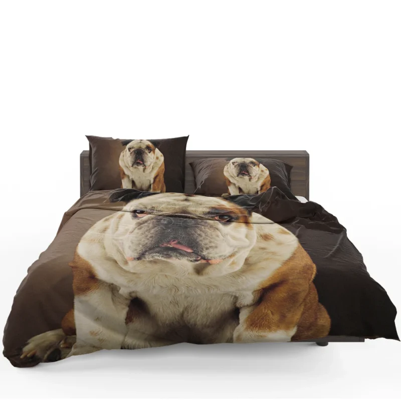 A Gaze of Bulldog Beauty: Bulldog Quartet Bedding Set