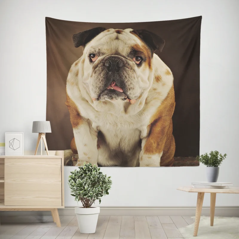 A Gaze of Bulldog Beauty  Bulldog Quartet Wall Tapestry