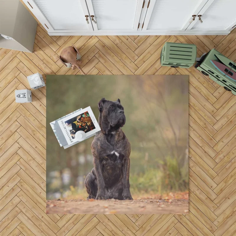 A Gaze of Strength: Cane Corso Quartet Floor Rug