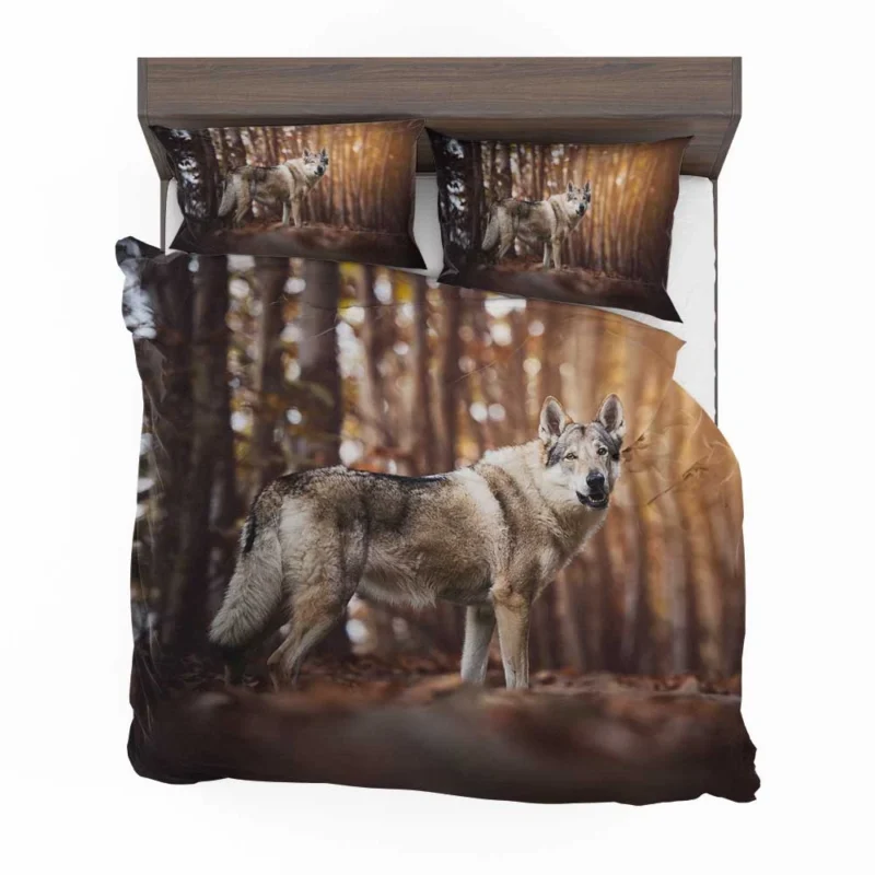 A Gaze of Wisdom: Czechoslovakian Wolfdog Quartet Bedding Set 1