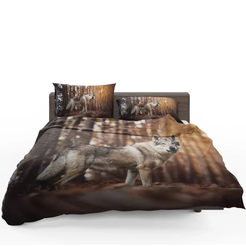 A Gaze of Wisdom: Czechoslovakian Wolfdog Quartet Bedding Set