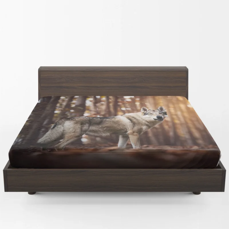 A Gaze of Wisdom: Czechoslovakian Wolfdog Quartet Fitted Sheet 1