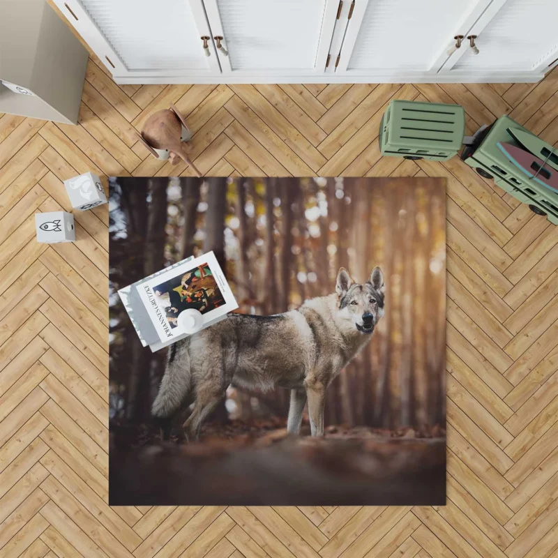 A Gaze of Wisdom: Czechoslovakian Wolfdog Quartet Floor Rug