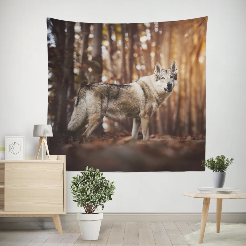 A Gaze of Wisdom  Czechoslovakian Wolfdog Quartet Wall Tapestry