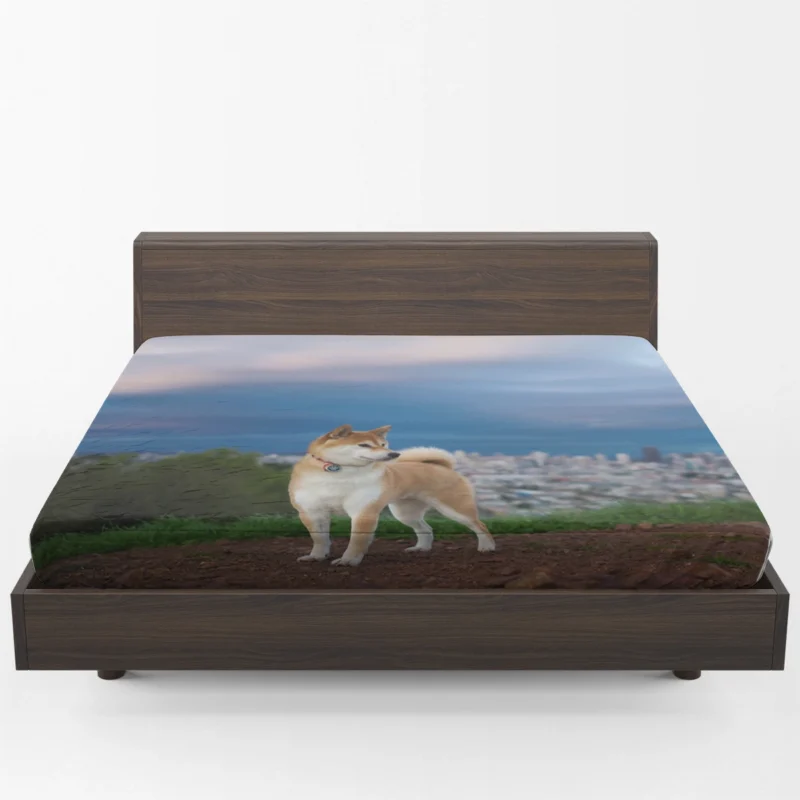 A Glimpse of Elegance: Shiba Inu Quartet Fitted Sheet 1