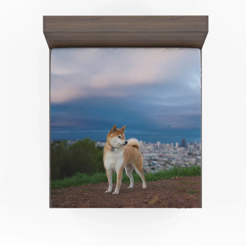 A Glimpse of Elegance: Shiba Inu Quartet Fitted Sheet